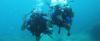 Photo for scuba diving in goa
