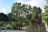 Photo for WB Tree Service