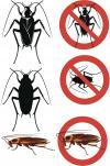 Photo for DCW Pest Management LLC