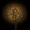 Photo for Springtree Led