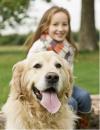 Photo for K-9 Express Mobile Dog Grooming