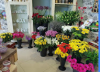Photo for Jazlissa Flowers