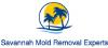 Photo for Savannah Mold Removal Experts
