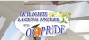 Photo for Skylights Laguna Niguel With OC Pride