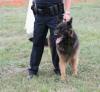 Photo for Victoria's All Size Pet Care Services