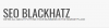 Photo for SEO Blackhatz