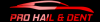Photo for Pro Hail and Dent Repair