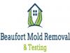 Photo for Beaufort Mold Removal and Testing