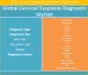 Photo for Cervical Dysplasia Diagnostic Market 2017 to 2025 - Share, Size, Trends and Forecast By Credence Research