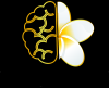 Photo for What Role does Neurotherapy play in Improving Focus, Mood and Brain Performance?