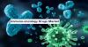 Photo for Immuno-oncology Drugs Market - Forecast till 2025