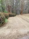 Photo for Palmetto Sod And Irrigation LLC