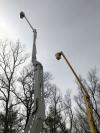 Photo for Andy's Tree Service - Greenville