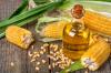 Photo for Corn Oil Market Growth, Trends, outlook and industry Analysis 2024