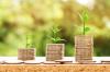 Photo for Tiny Cash Payday Loans