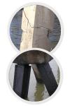 Photo for Structural Repair to Piles