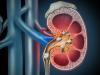 Photo for Urolithiasis Management Devices Market By Device Type Shock Wave Lithotripters and Ureteroscopes