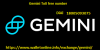 Photo for Error account temporarily disabled in Gemini
