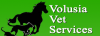 Photo for Volusia Veterinary Services