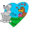 Photo for The Pooch Pad