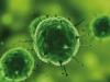 Photo for Antimicrobial Coatings Market Future Demand & Growth Analysis with Forecast up to 2024