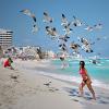 Photo for Tourism Made Easy