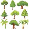 Photo for Progressive Tree Care San Juan Capistrano