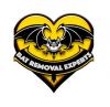 Photo for Bat Removal Experts