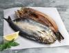 Photo for Smoked Herring Fish Market Growth Opportunities Till 2026