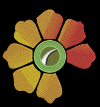 Photo for Custom Embroidery Digitizing Service in Hawaii