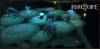 Photo for Runescape Gold For Sale