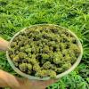 Photo for 1136 Yuma Dispensary