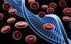 Photo for Immune Repertoire Sequencing Market Industry Insights, Size, Growth, Outlook and Forecast to 2026