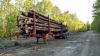 Photo for B & C Land Services