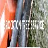 Photo for Brockton Tree Co