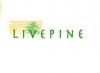 Photo for Live Pine