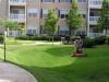 Photo for Choose Ottawa Lawn Care Companies is the best step to care your lawn