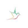 Photo for Freelance Web Designer