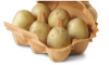 Photo for Potato Protein Market Present Scenario and the Growth Prospects with Forecast 2024