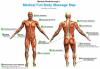 Photo for Massage Chair Ranking