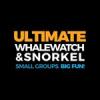 Photo for Ultimate Whale Watching & Snorkel