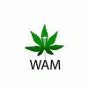 Photo for Wickenburg Alternative Medicine