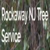 Photo for Rockaway NJ Tree Service