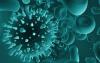 Photo for Syncytial Virus Diagnostics Markets Analysis by 2026