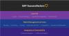 Photo for SAP SuccessFactors Core HR Consultant & Talent Management Solutions