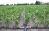 Photo for Micro Irrigation Systems Market Growth, Trends and industry Analysis 2024