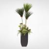 Photo for Artificial Plants for Sale
