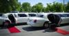 Photo for Rochelle Limousine and Car Service