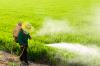 Photo for Global Pesticides Market Size, Share, Key Companies | Industry Report, 2018-2024