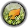 Photo for Tru Lawn, LLC